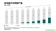 鋼鐵行業(yè)是地球上碳排放最大的制造業(yè)，因此是全球當(dāng)務(wù)之急的脫碳項(xiàng)目