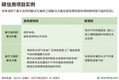 企業(yè)領導者為什么必須了解碳信用額？